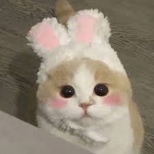 Angela Torres avatar