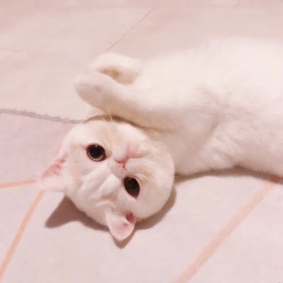 Risa Hontiveros avatar